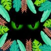 Chess – Jungle