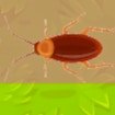 Insect Crusher